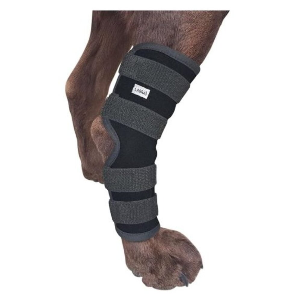Labra Extra Supportive Dog Rear Leg Hock Joint Compression Wrap Brace- Size Larg